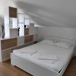 Anicic 포도카