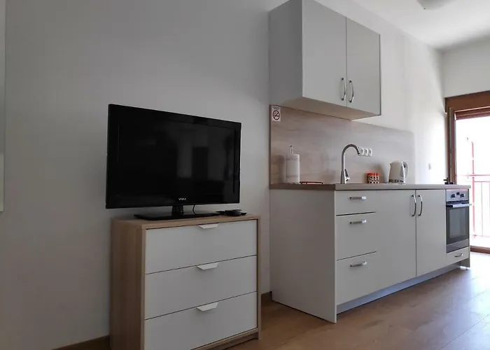 Apartment Anicic *