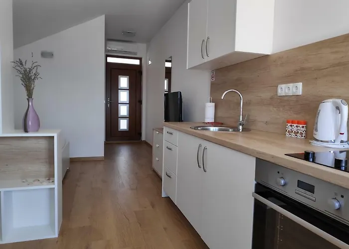 Apartment Anicic