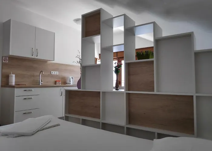 Anicic Apartment Podaca