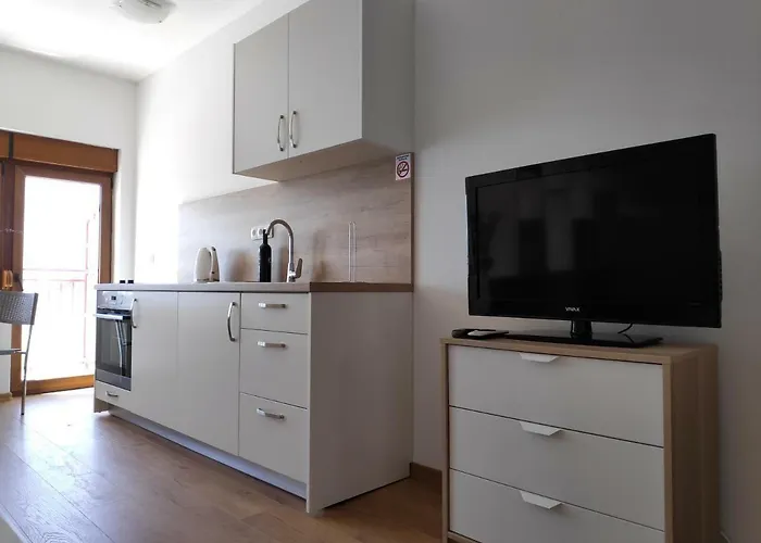 Apartment Anicic *