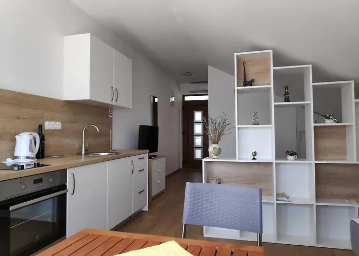 Apartment Anicic *