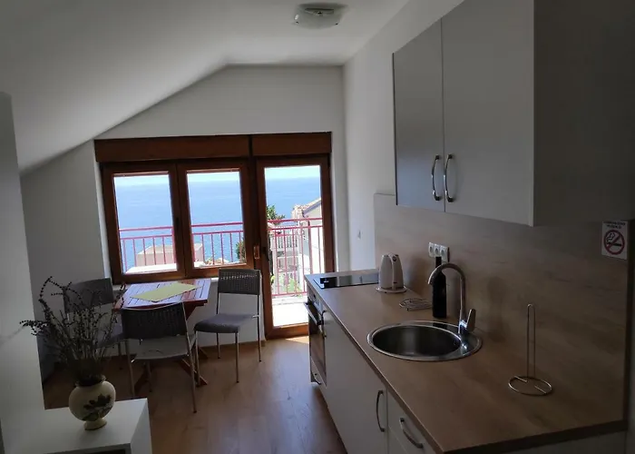 Apartment Anicic *