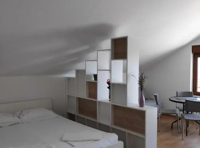 Anicic Apartment *