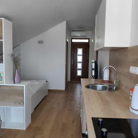 Anicic Apartman *